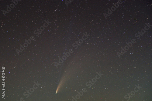 Fototapeta Naklejka Na Ścianę i Meble -  ネオワイズ彗星（NEOWISE彗星）