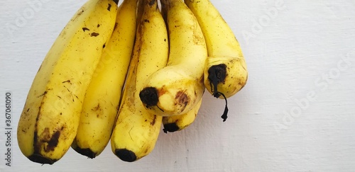 Wallpaper Mural bunch of bananas Torontodigital.ca