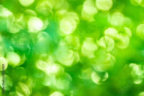 Green background abstract light gradient bokeh natural Used for text input