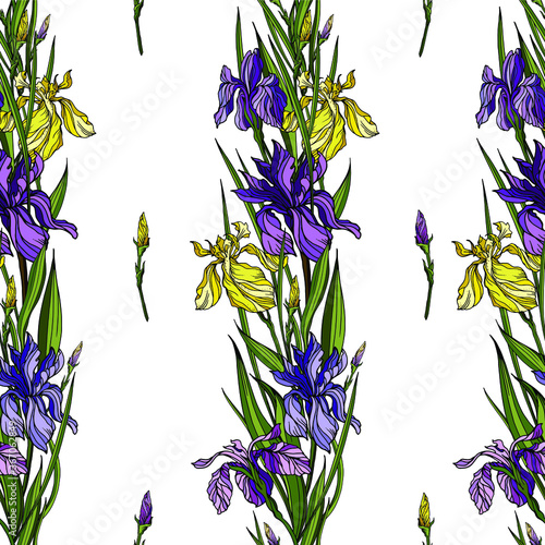 Vector seamless pattern  violet and yellow iris flowers   buds and green leves . Floral design with realistic hand drawn botanical elements for textile   walpaper  wrapping paper.