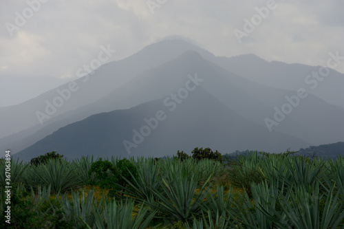 Paisaje de naturaleza y montaña en Oaxaca