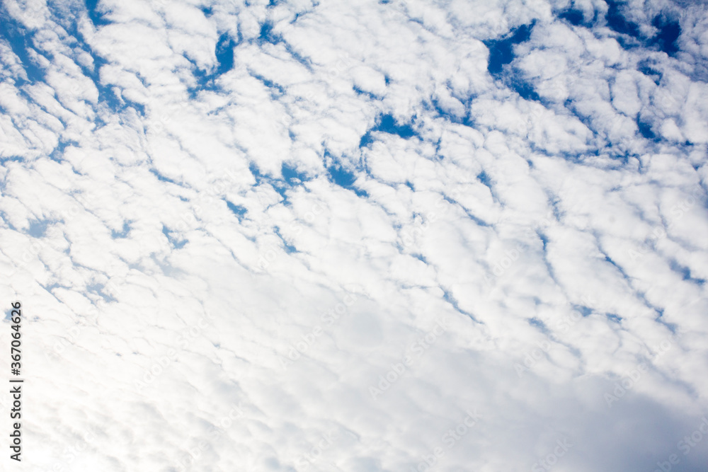 Alto cumulus in a clear sky