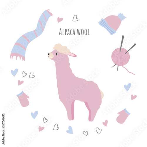 Vector card with cute alpaca and knitting. Isolated, flat, white background