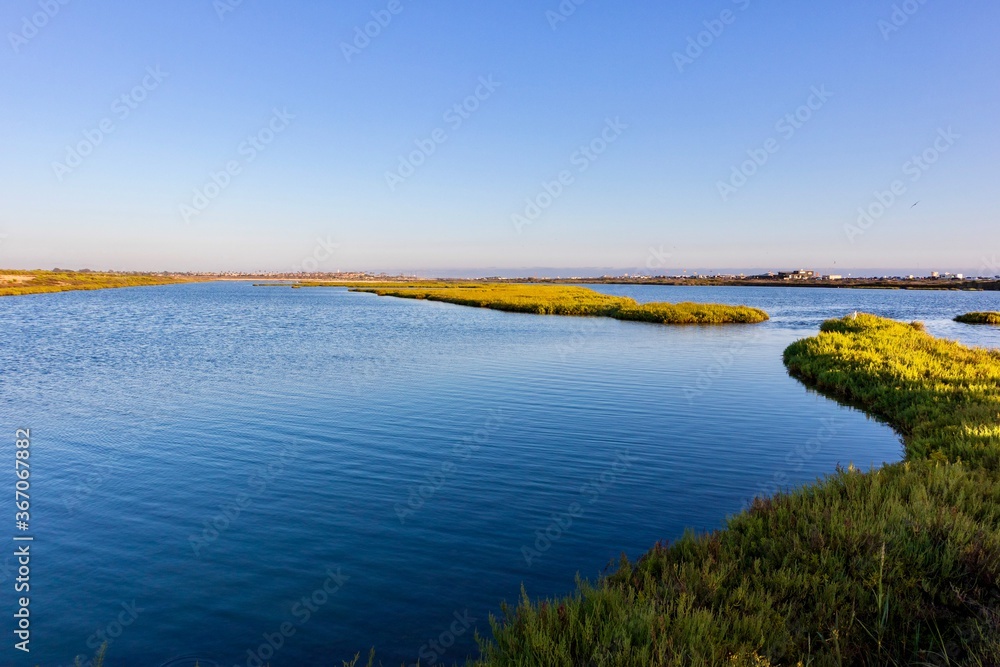 landscape with lake and blue sky taken at Bolsa Chica Ecological Reserve in Huntington Beach, California USA