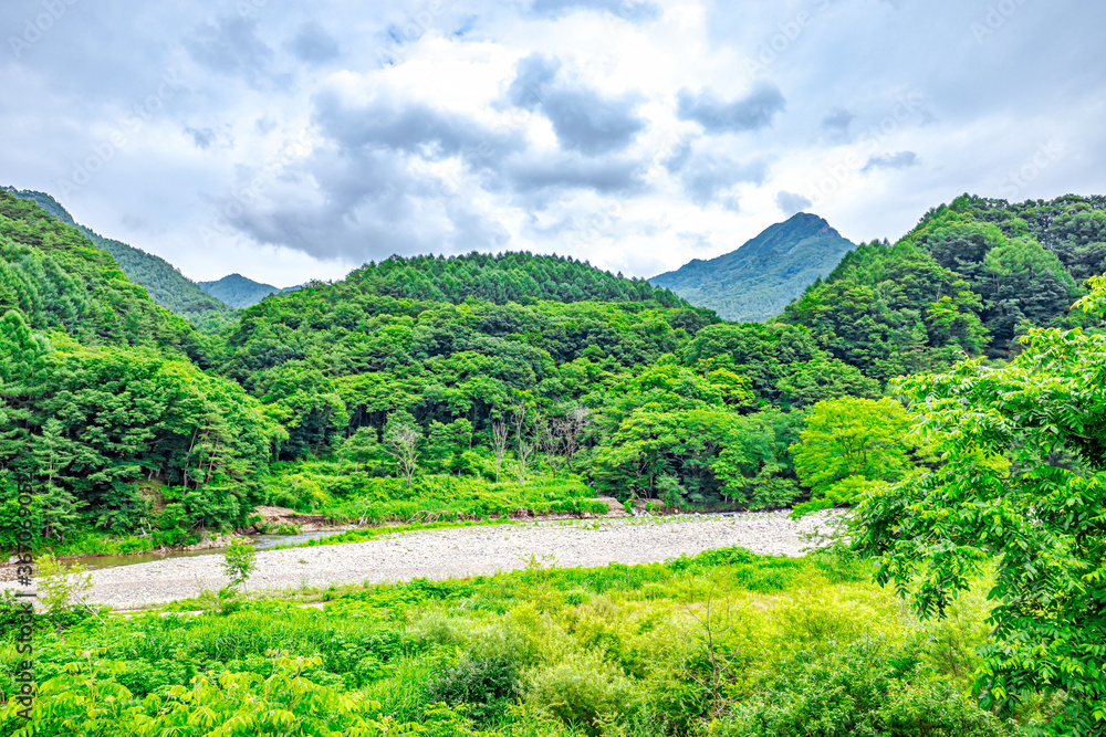 【ふるさとイメージ】日本の里山風景
