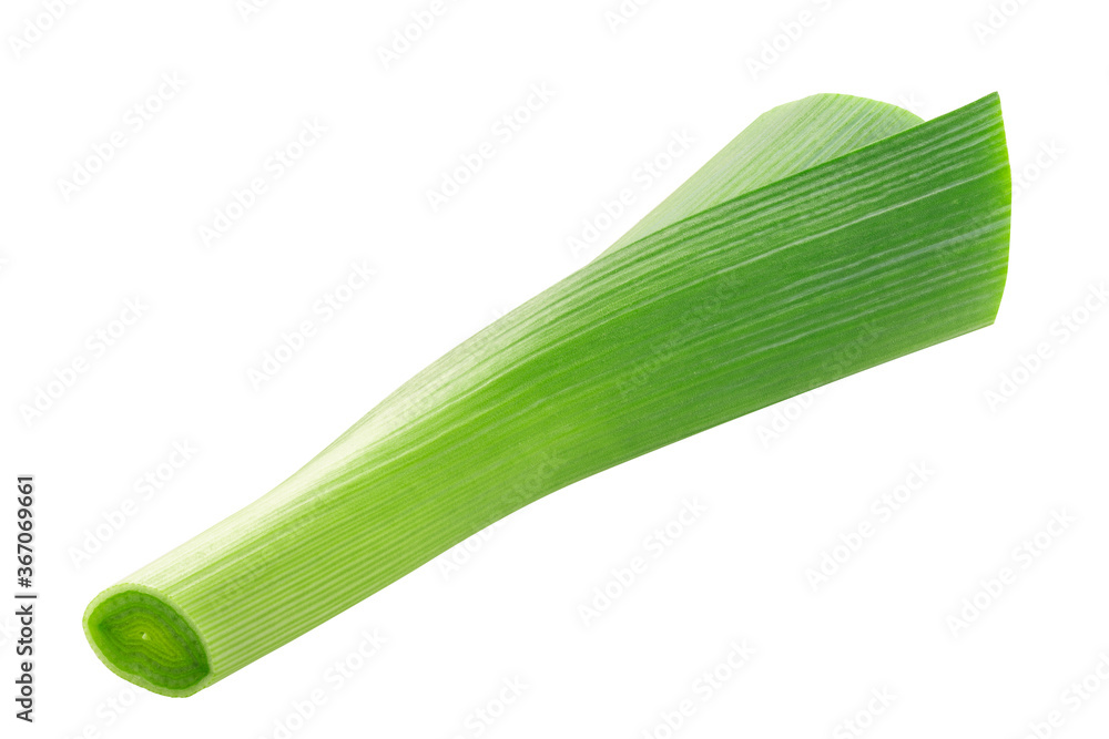 Leek, spring green onion stem isolated Leek, spring green onion stem isolated
