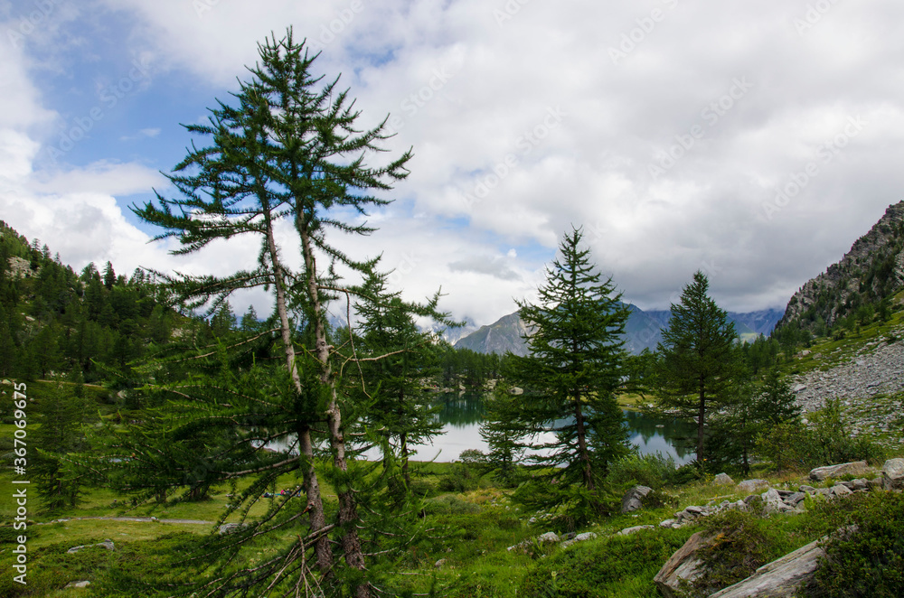 paesaggio - lago - montagna - natura