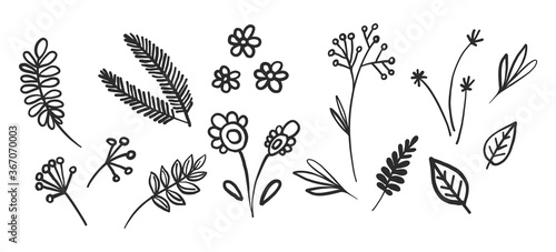 Tiny flowers, little leaf, Christmas tree twig, rustic motif leaves, brunch, linden ethnic plant. Black doodle on white background. Textile design texture. Vector line sketch elements.