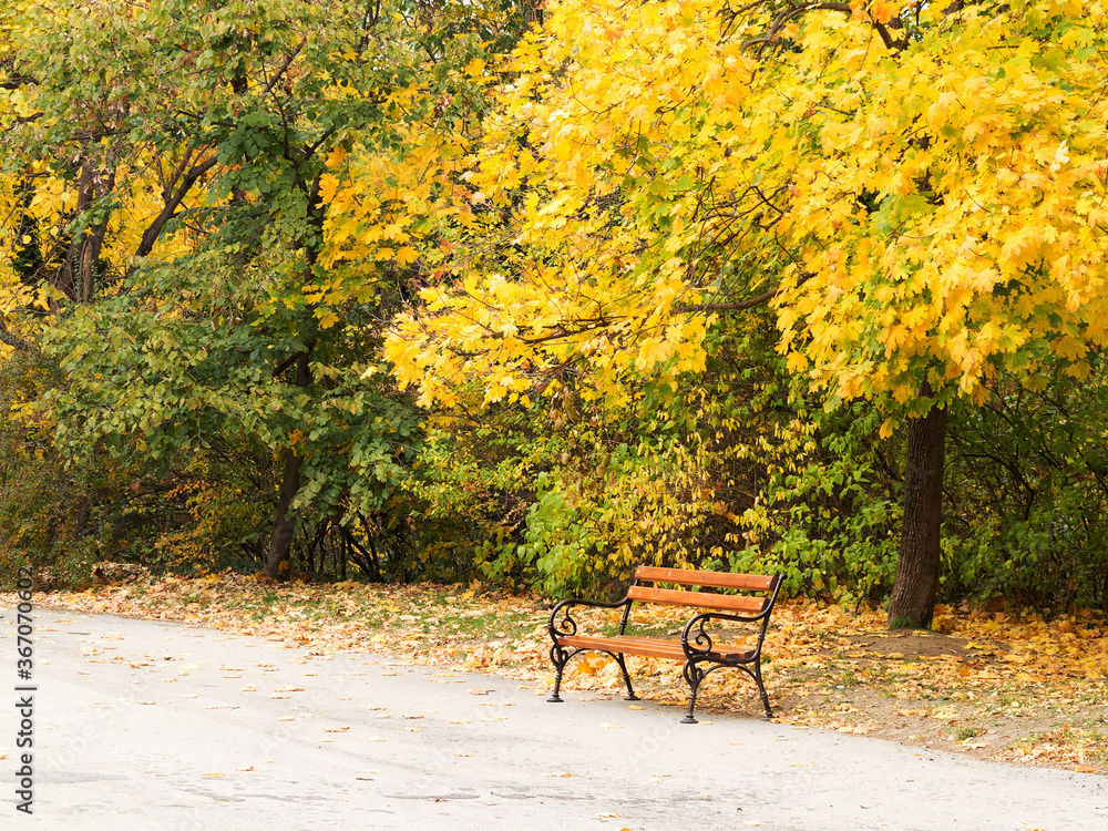 Beautiful authentic landscape of city park in the fall. Varna, Bulgaria Beautiful authentic landscape of city park in the fall. Varna, Bulgaria