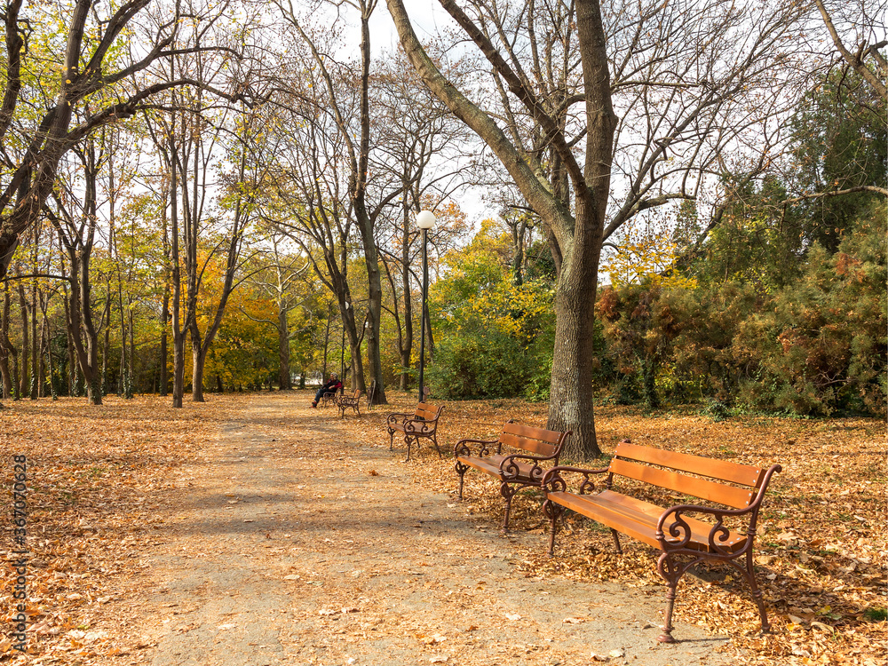 VARNA, BULGARIA - November 10: An authentic landscape people relax in the city park in the fall. November 10, 2015 in Varna, Bulgaria