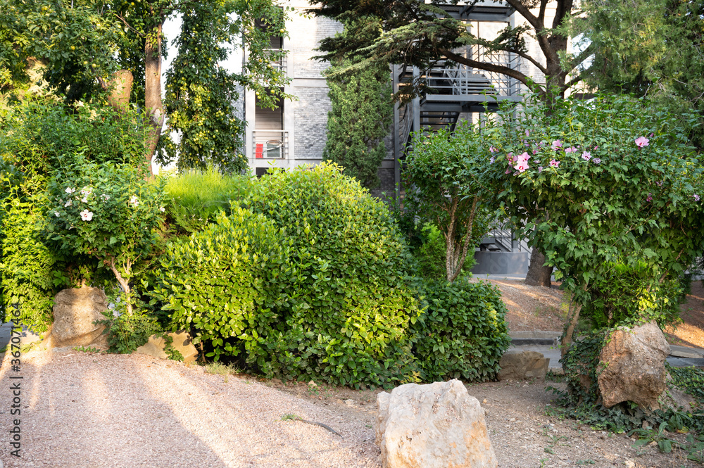 Beautiful landscape. A landscape of green flowering bushes, tall trees, various plants. Large stones ahead and the shadow of a high wall. In the background is a multi-storey building with stairs. High