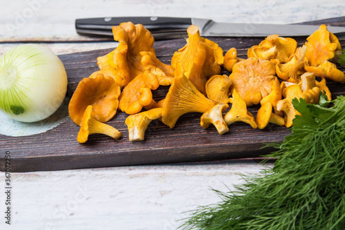 Chanterelle mushrooms lie on a dark wooden Board, a head of onions and a bunch of dill lie on the table. Autumn is coming