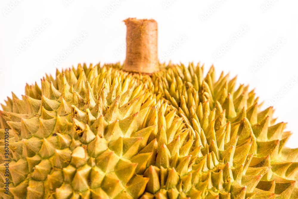 Tropical fruit durian Tropical fruit durian