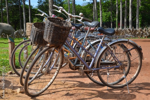 Row of vintage bicycles with woven baskets at the front