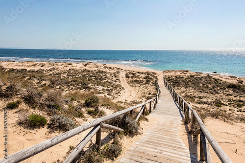 Andalusia Beach Impression Wooden Footbridge