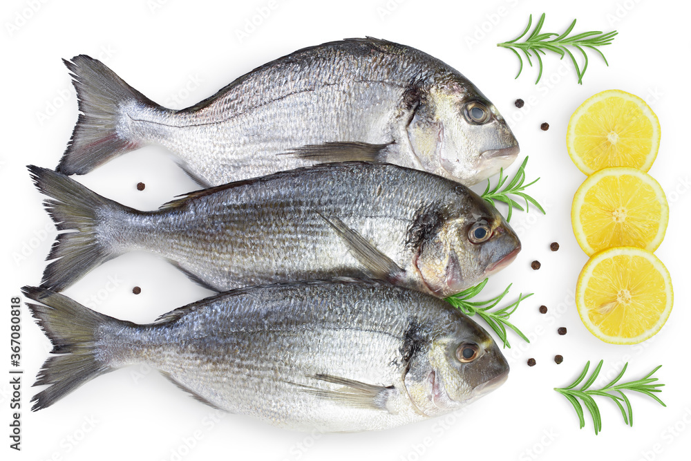 Fish dorado isolated on white background with clipping path and full depth of field. Top view. Flat lay Fish dorado isolated on white background with clipping path and full depth of field. Top view. Flat lay