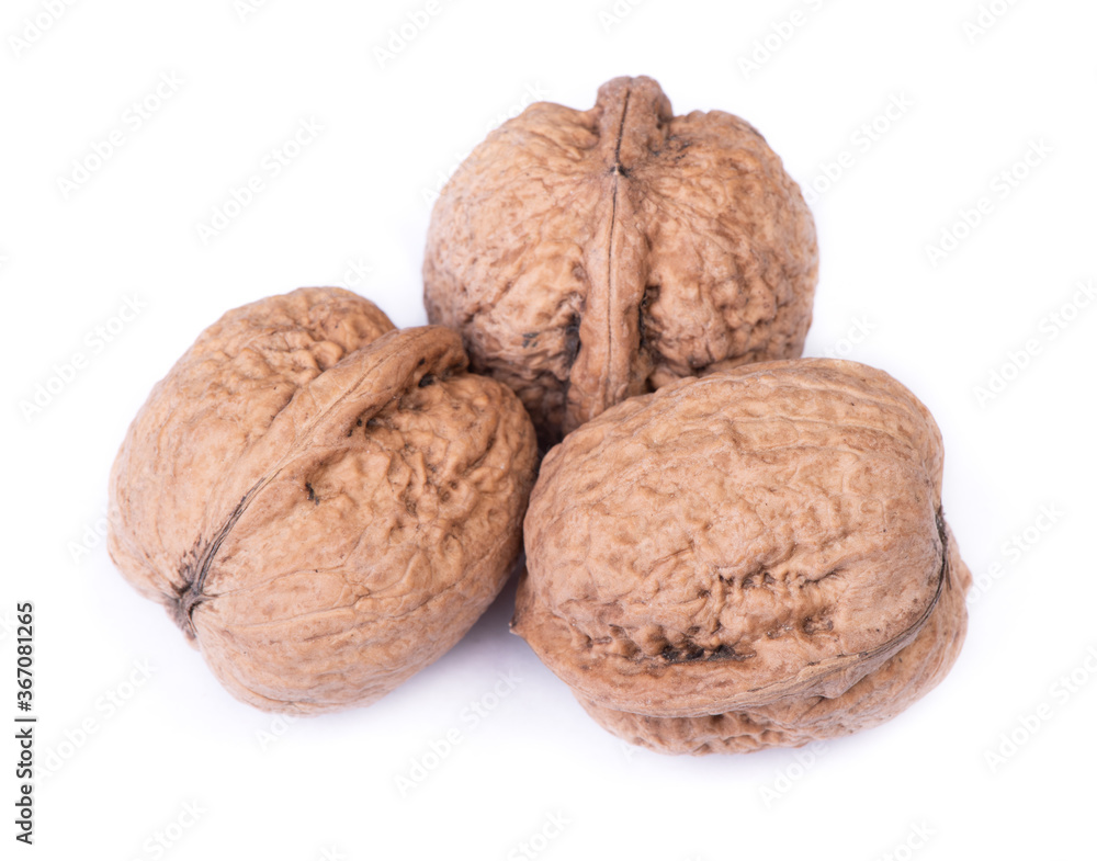 Few big walnuts Few big walnuts
