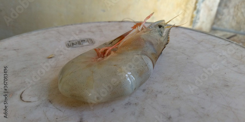 Fresh and tasty shrimp is ready for sell in market photo