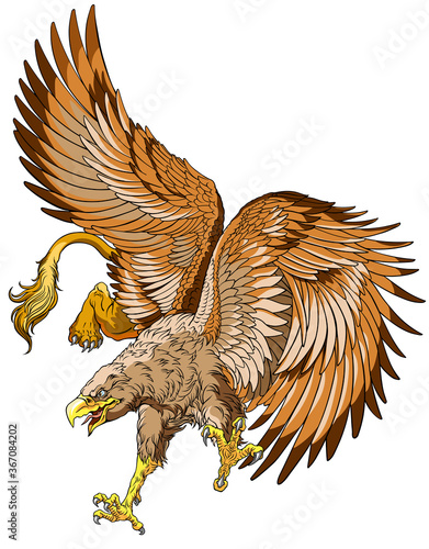 Flying Griffin, griffon, or gryphon. A mythical beast having the body of a lion and the wings and head of an eagle. Vector illustration