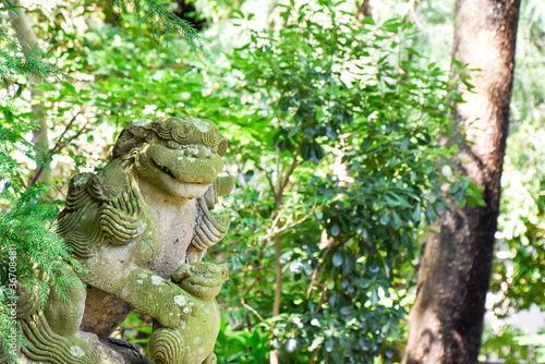 Photography komainu, a guardian of a shinto shrine