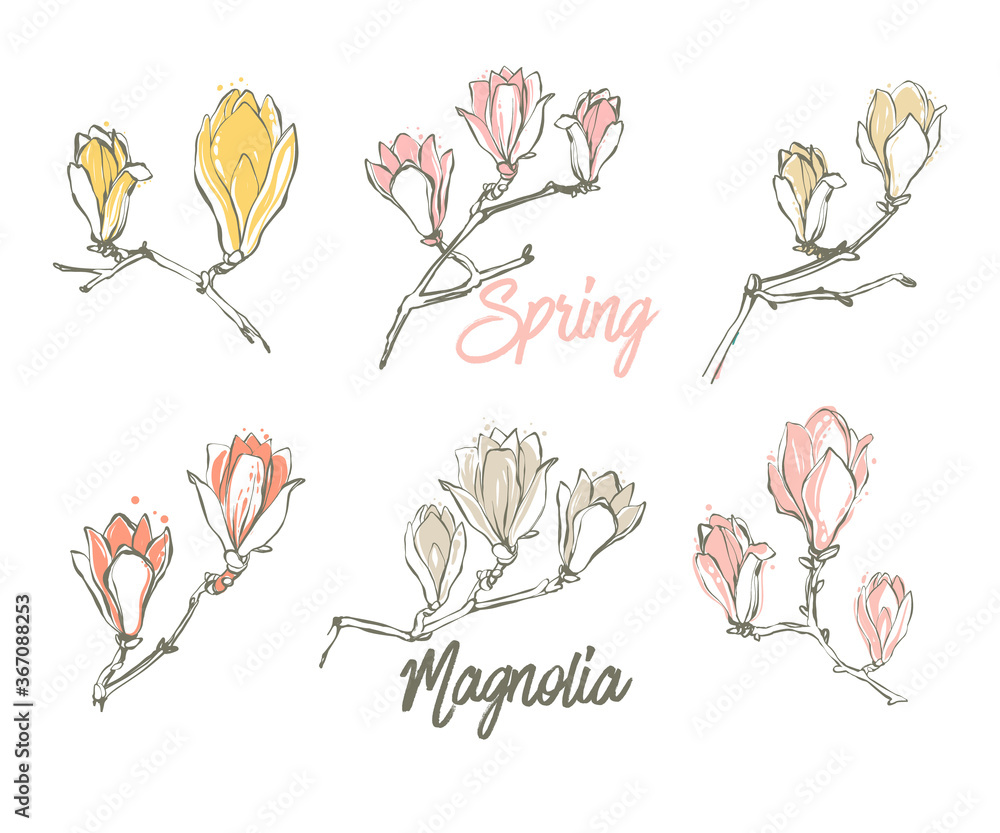 Magnolia line flower illustration on white background. Set pastel color elements. Pink, yellow, beige, vintage style. Hand drawing watercolor t-shirt design. Vector illustration for textile design