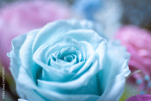 Fotografia Bouquet of preserved rose flowers