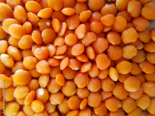 Lentils closeup. Red Lentils isolated. Plenty of red lentils background