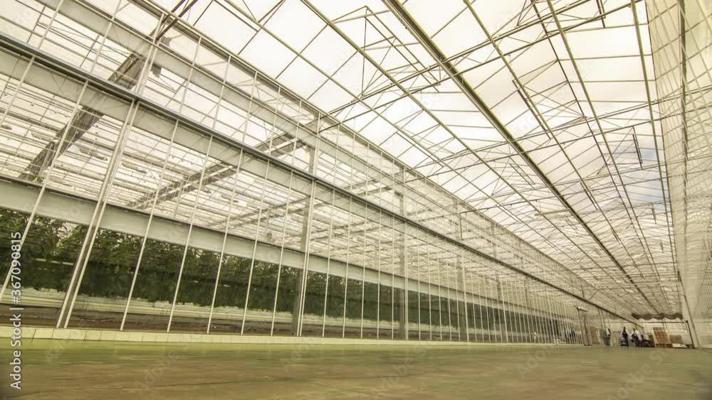 greenhouses grow fresh vegetables and fruits time-lapse greenhouses grow fresh vegetables and fruits time-lapse