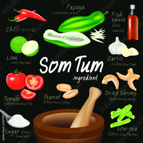 set of Som Tum (Thai Papaya Salad) Ingredient