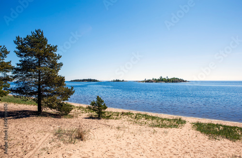 Coast of Koyonsaari Island (southeastern part). Ladoga lake. Karelia. Russia