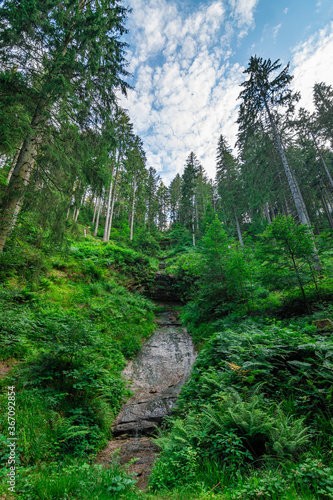 The Rosshimmelwasserfall in the national park Black Forest in Germany  Kniebis   Freudenstadt