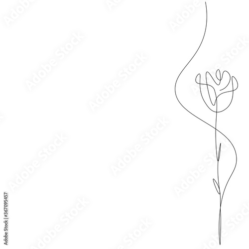 Rose flower on background. Vector illustration