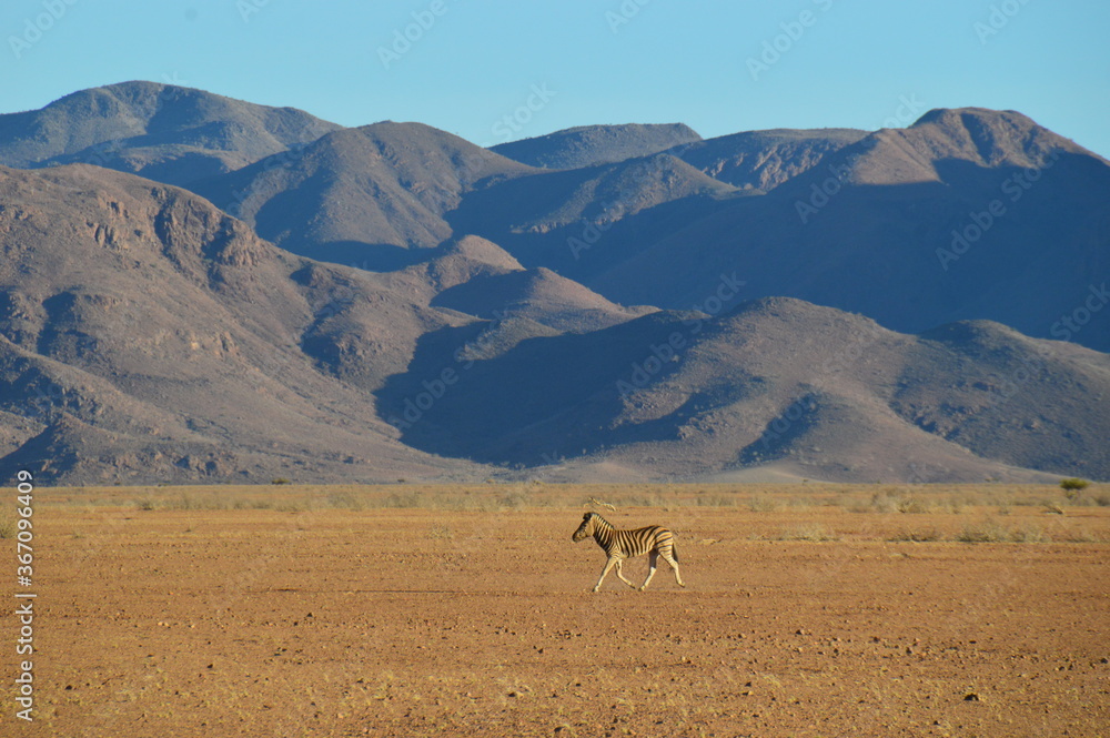 Naklejka premium Road tripping through the Namibian Desert