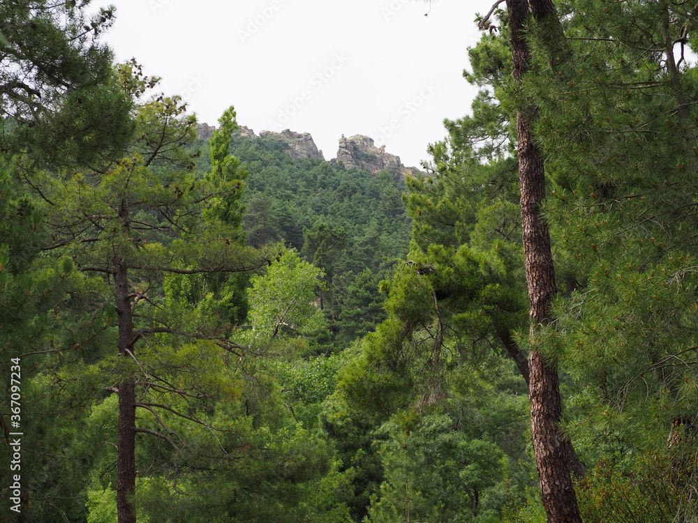 Obraz premium OLYMPUS DIGITAL CAMERA