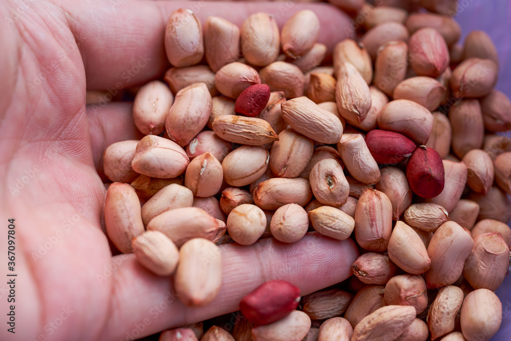 A pile of shelled peanuts close-up A pile of shelled peanuts close-up
