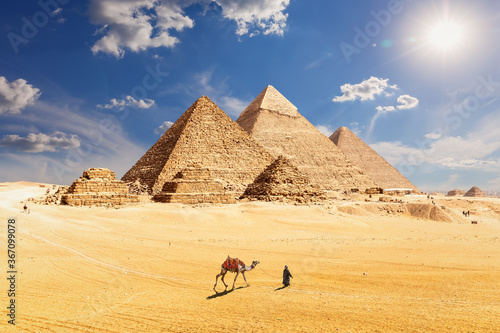 Obraz na płótnie Famous Pyramids of Egypt and a bedouin with a camel, Giza, Cairo w salonie