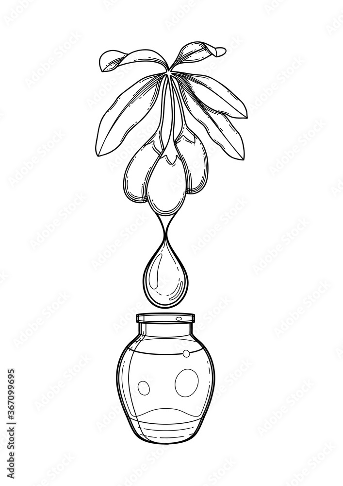 Graphic essential oil bottle decorated with goji plant Graphic essential oil bottle decorated with goji plant