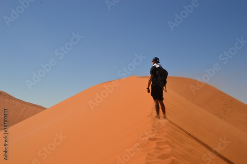 The red sand dunes of Sossusvlei in the Namib Desert  Namibia