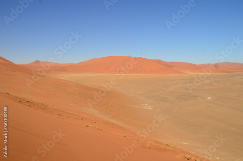 Fototapeta Naklejka Na Ścianę i Meble -  The red sand dunes of Sossusvlei in the Namib Desert, Namibia