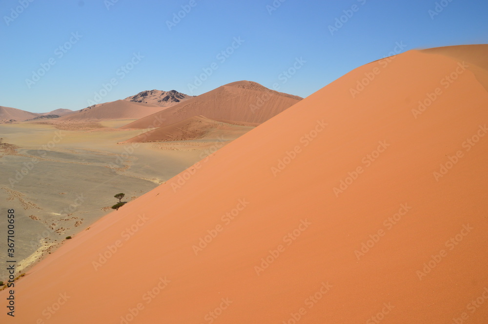 The red sand dunes of Sossusvlei in the Namib Desert, Namibia The red sand dunes of Sossusvlei in the Namib Desert, Namibia