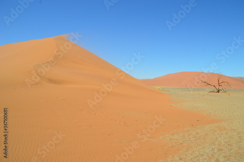 The red sand dunes of Sossusvlei in the Namib Desert  Namibia