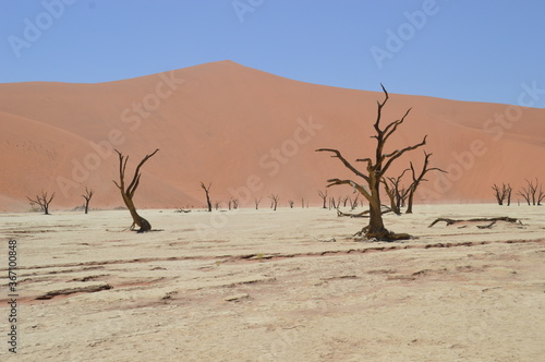 The red sand dunes of the Namib Desert around Sossusvlei, Namibia © ChrisOvergaard