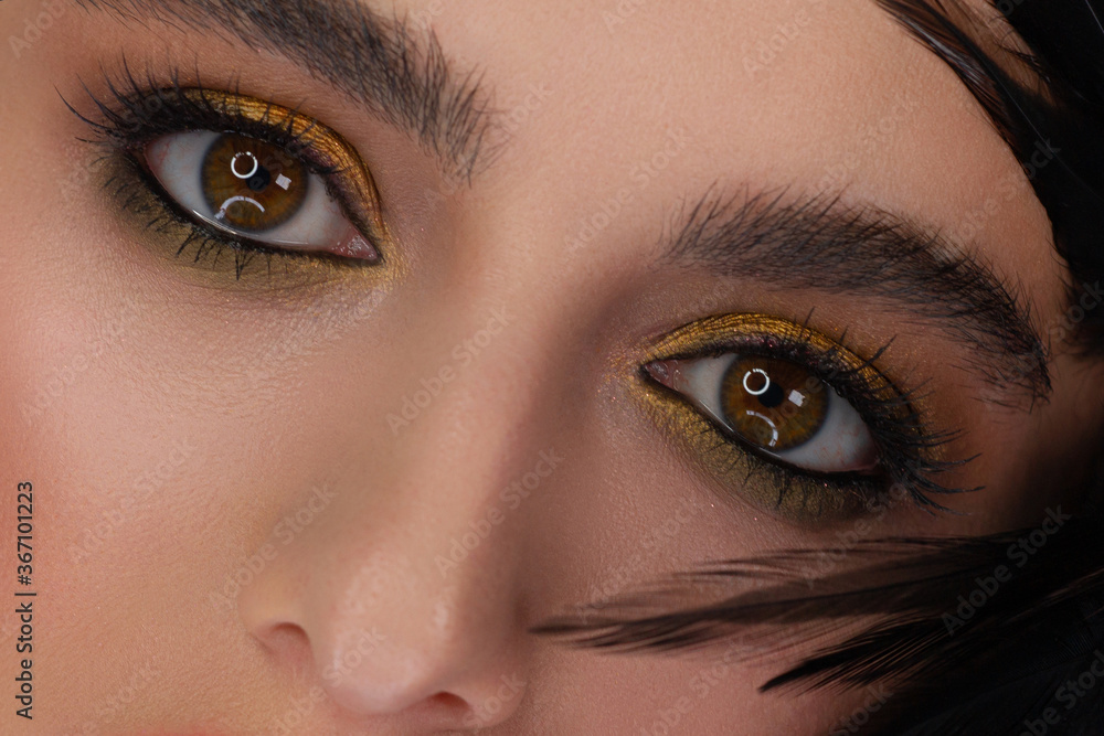 Obraz premium Beautiful macro shot of female eye with classic smoky makeup. Perfect shape of eyebrows, brown eyeshadows and long eyelashes.Closeup macro shot of fashion smoky eyes visage. Before and after
