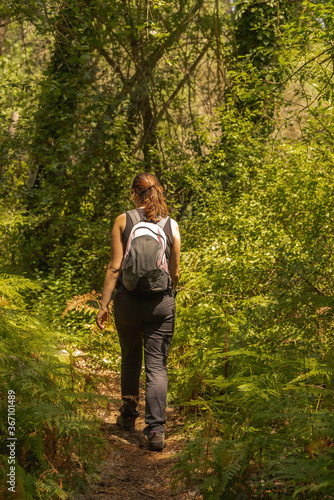 young woman trekking around a forest