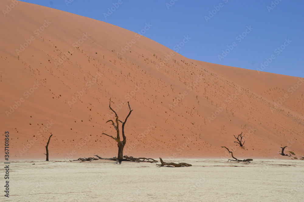 The red sand dunes of the Namib Desert around Sossusvlei, Namibia The red sand dunes of the Namib Desert around Sossusvlei, Namibia
