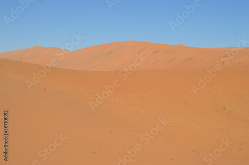 The red sand dunes of the Namib Desert around Sossusvlei  Namibia