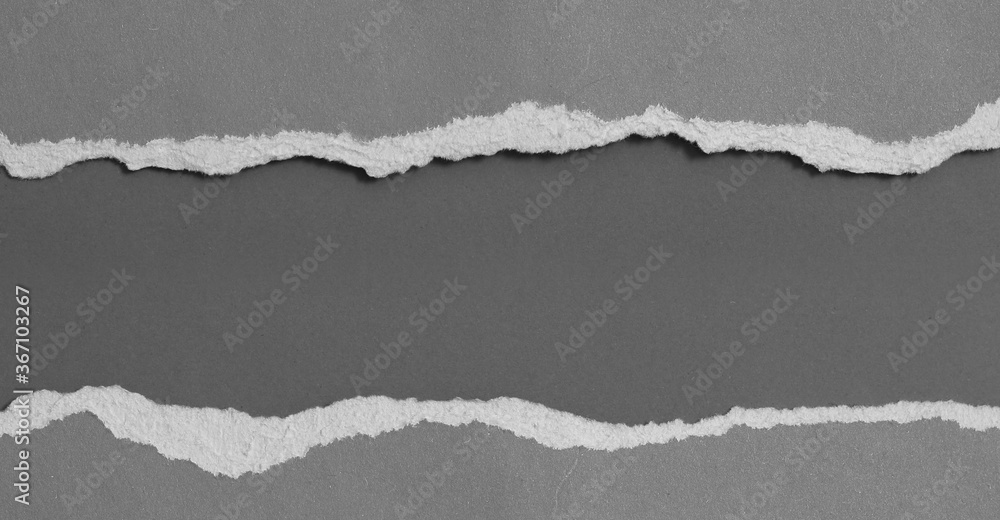 pieces of torn paper texture background and have copy space for design in your work. pieces of torn paper texture background and have copy space for design in your work.
