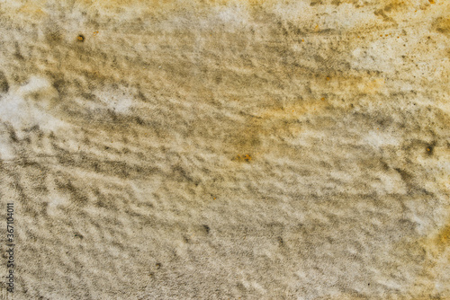 Wallpaper Mural beige painted on paper background texture Torontodigital.ca