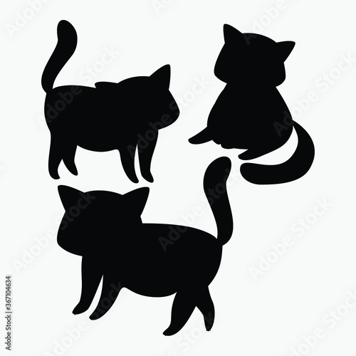 Photography Cat vector illustration
