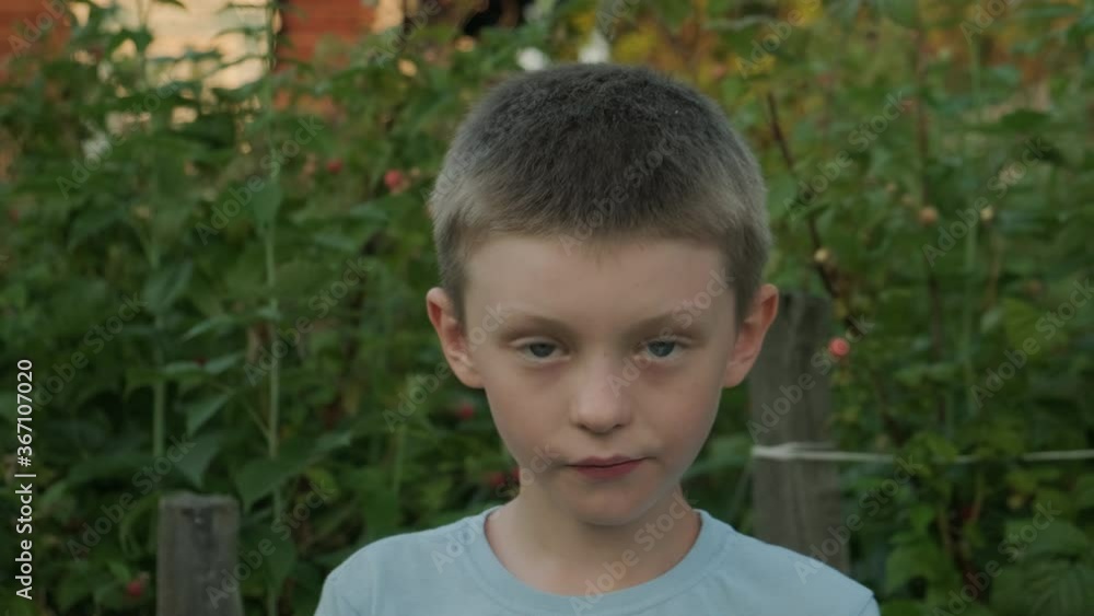 boy in the summer garden eating raspberries boy in the summer garden eating raspberries